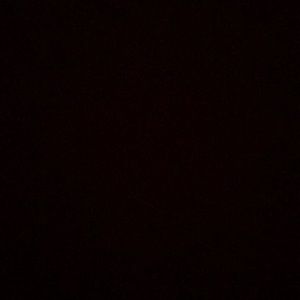 Meet your Posher, Liz